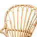 Sheraton Rattan Armchair - Cool Stuff & Accessories