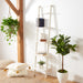 Allaire 5 Tier Leaning Etagere/White - Cool Stuff & Accessories